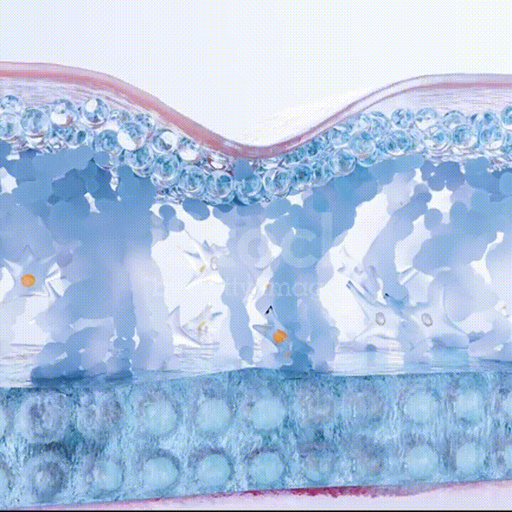 Firmsta animación GIF-2